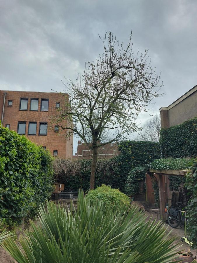 Saya Boutique Hotel Amersfoort Exteriér fotografie